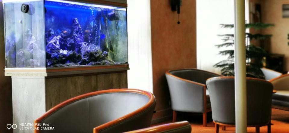 Hotel Pedussaut Saint Gaudens Eksteriør bilde